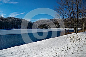 Wintertime View of Abbott Lake